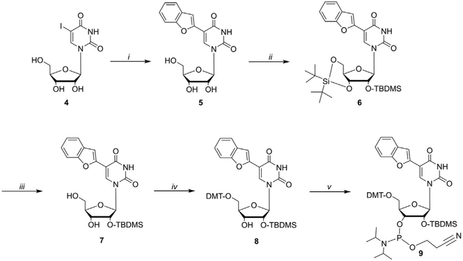 Fig. 5