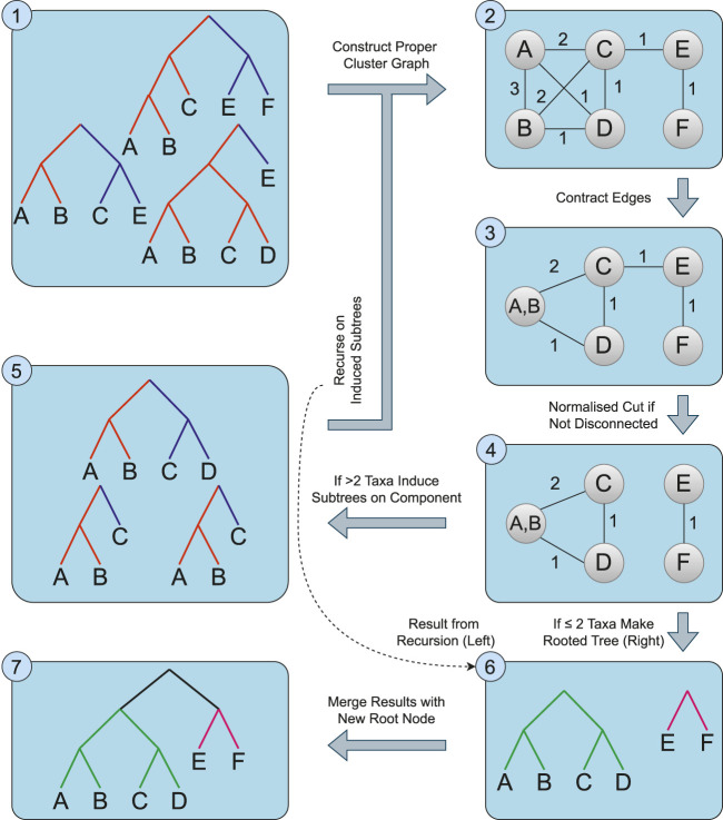 FIGURE 3