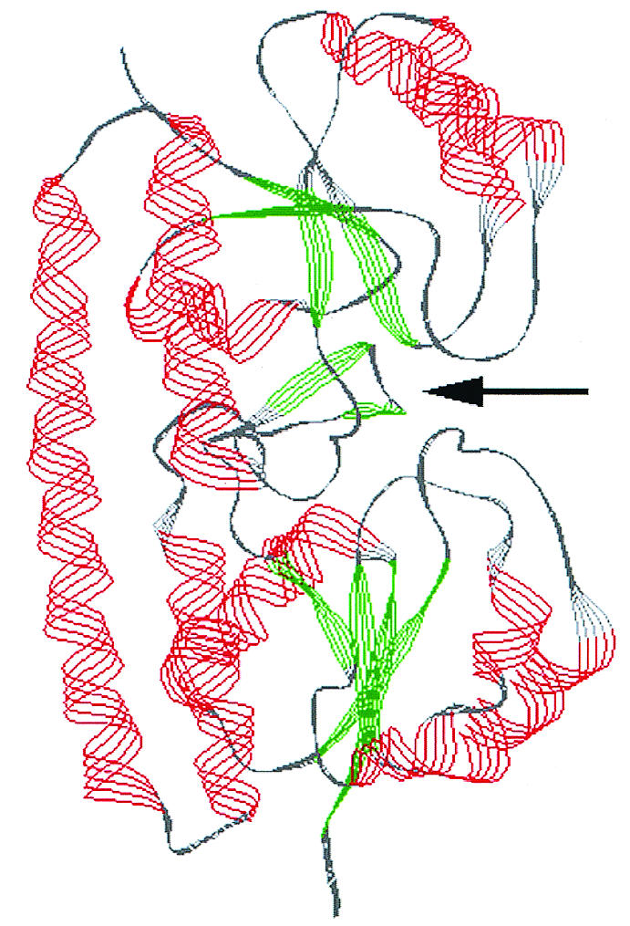 FIG. 5.