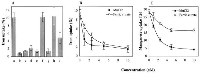 FIG. 2.