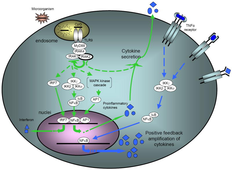 Figure 7