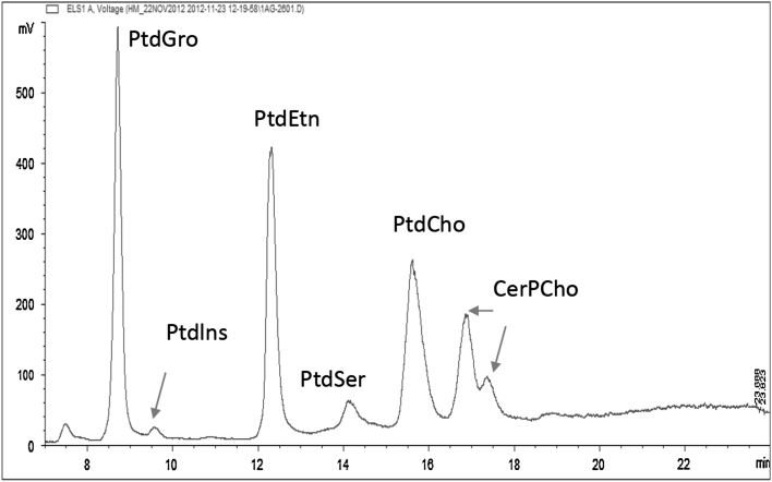 Fig. 1