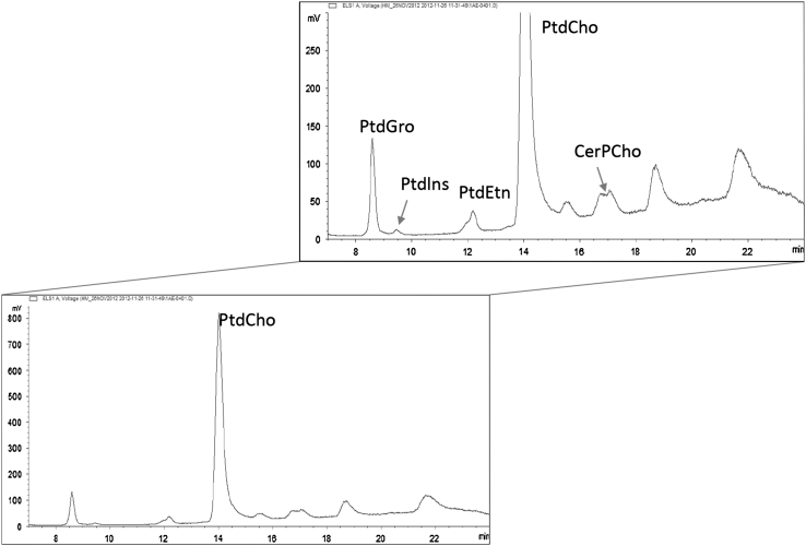 Fig. 3