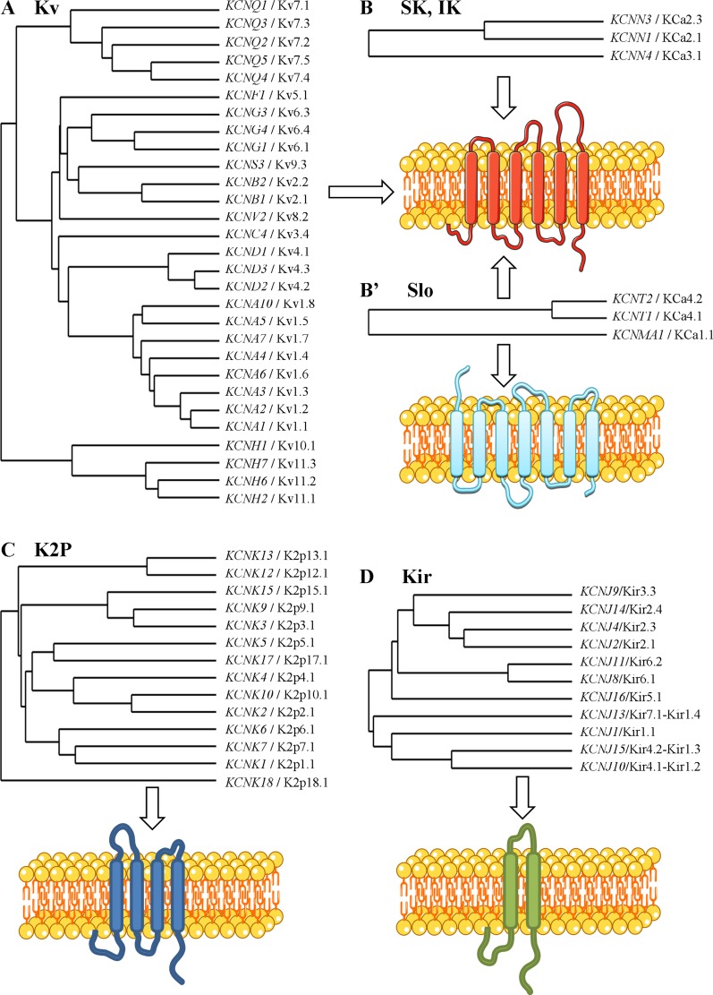 Fig. 2.