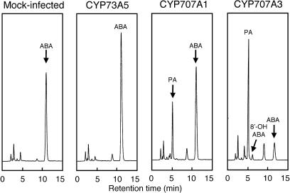 Figure 5.