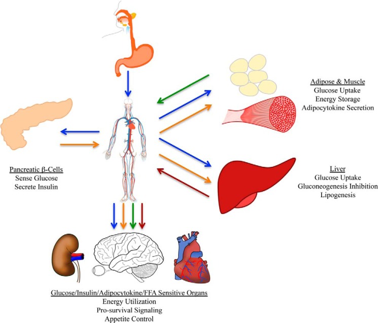 FIGURE 1.