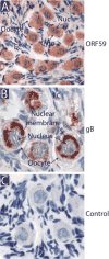 Fig 8