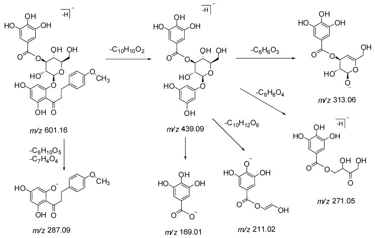 Scheme 3