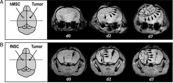 Fig. 2.