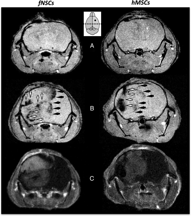 Fig. 4.