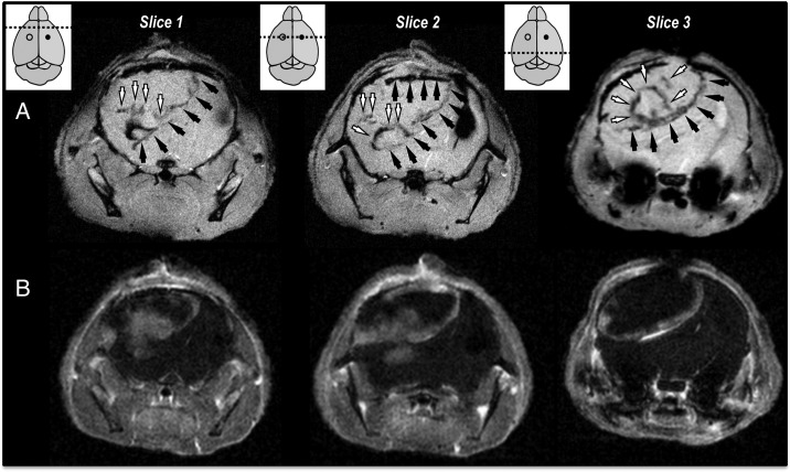 Fig. 3.