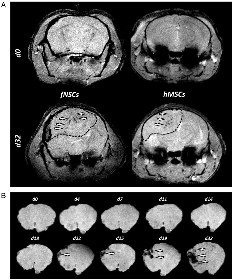 Fig. 5.