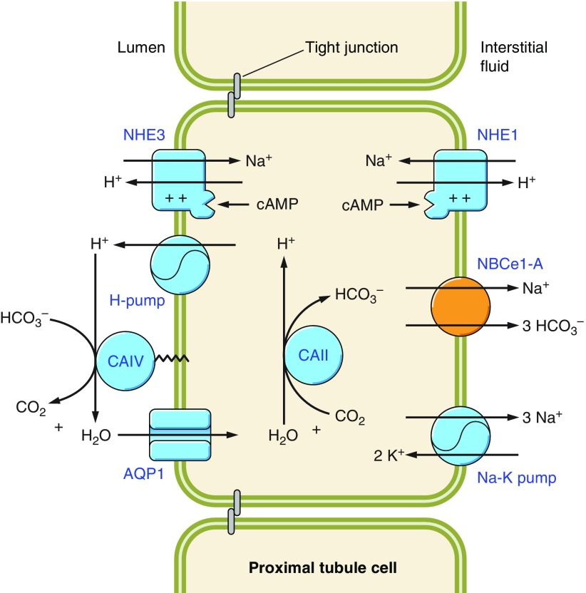 Figure 23.