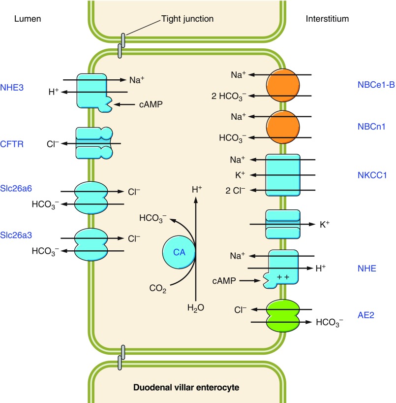 Figure 22.