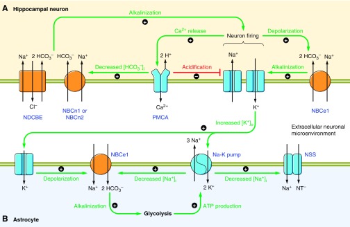 Figure 24.