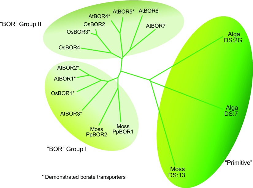 Figure 5.