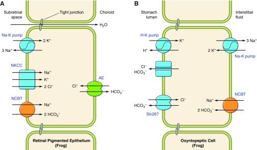 Figure 13.