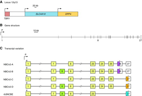 Figure 39.