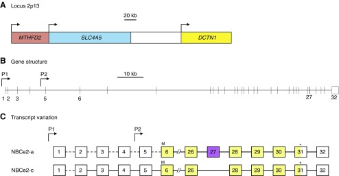 Figure 26.