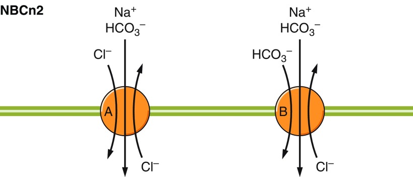 Figure 38.