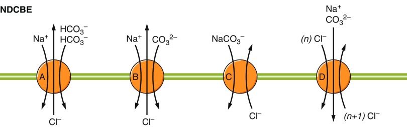 Figure 35.