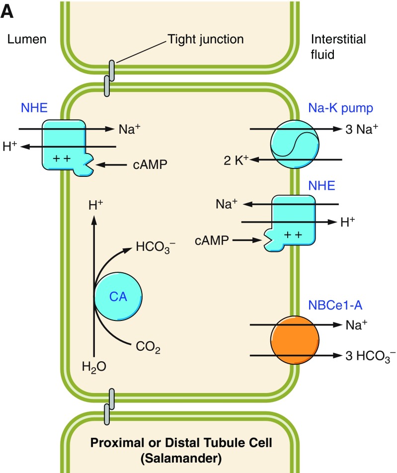 Figure 14.