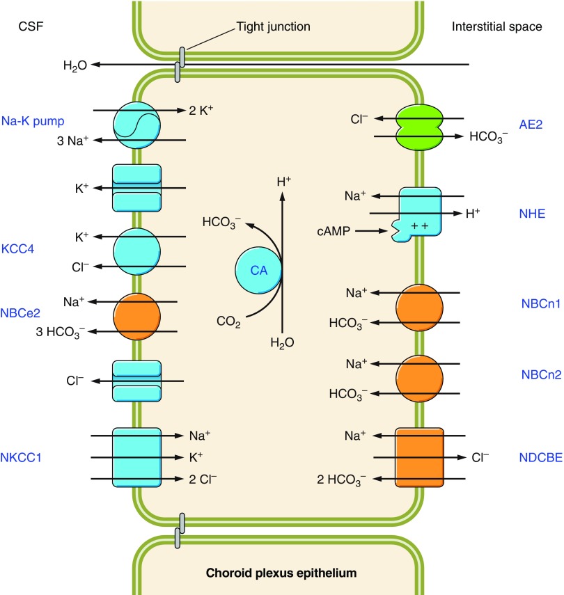 Figure 28.