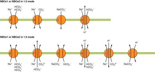 Figure 16.