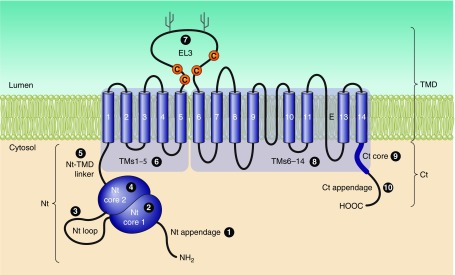 Figure 15.