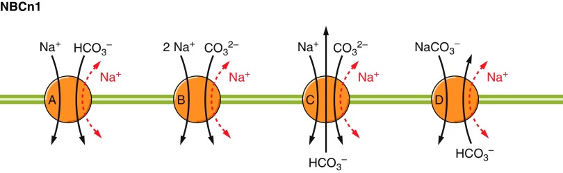 Figure 30.