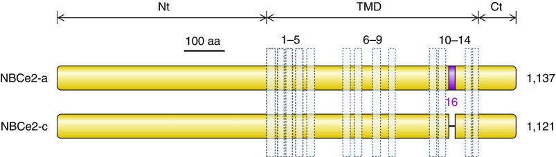 Figure 27.