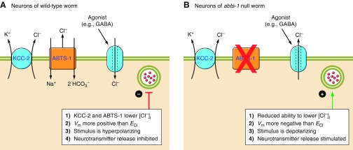 Figure 10.