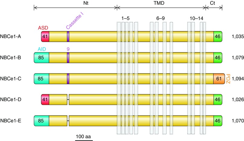 Figure 18.