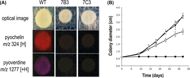 Figure 3.