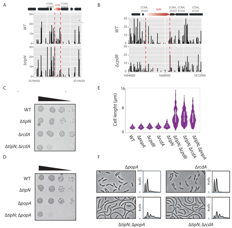 Figure 1—figure supplement 1.