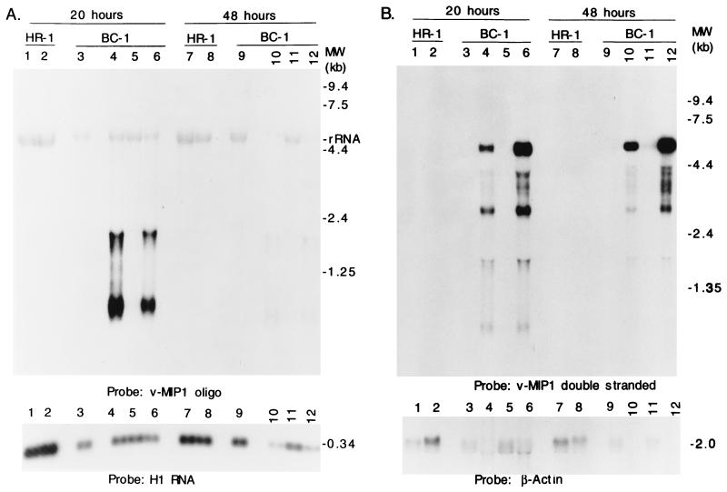 FIG. 6