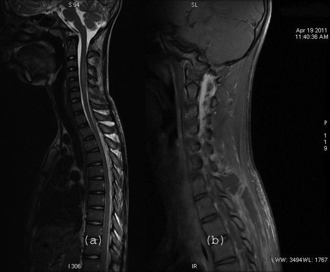 Figure 1