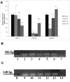 Fig.3