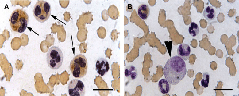 Fig 2.