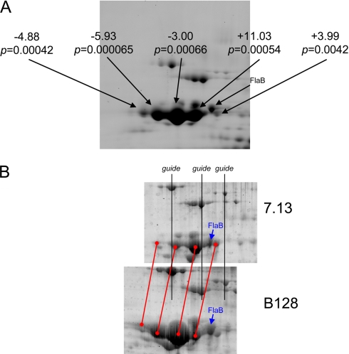 Fig. 3.