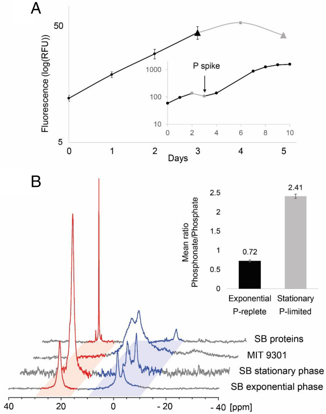 Fig. 4.