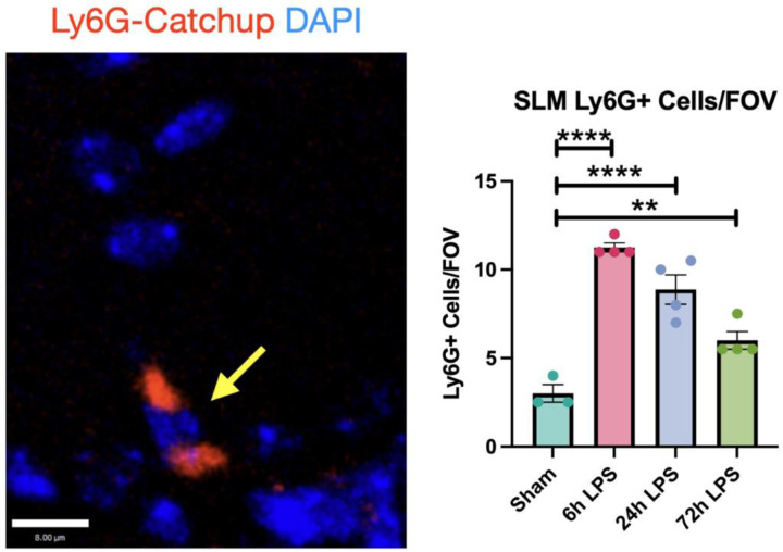 Figure 4: