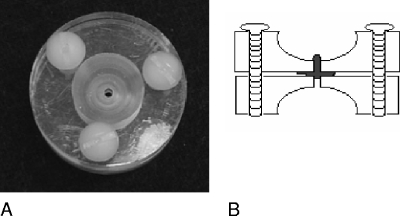 FIG. 1.