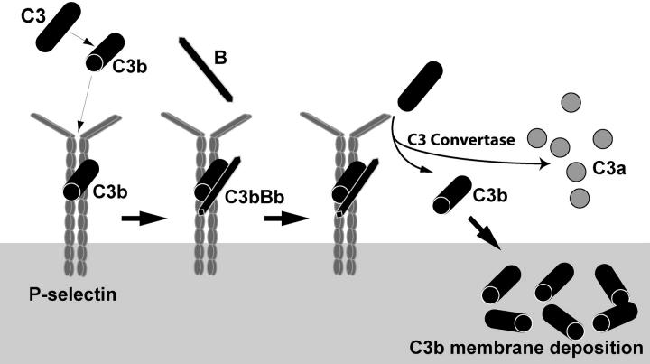 Figure 7.