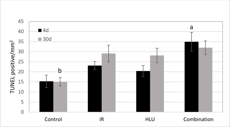 Figure 3: