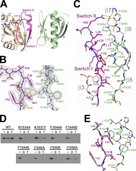 FIGURE 3.