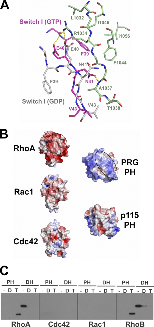 FIGURE 4.