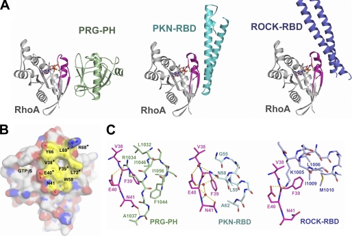 FIGURE 6.