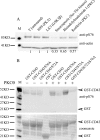 FIGURE 9: