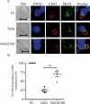 FIGURE 7: